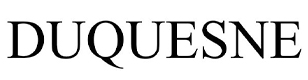 Duquesne Capital Logo