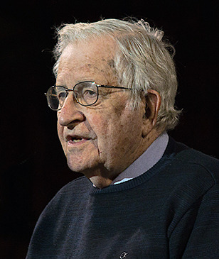 Noam Chomsky Profile Picture